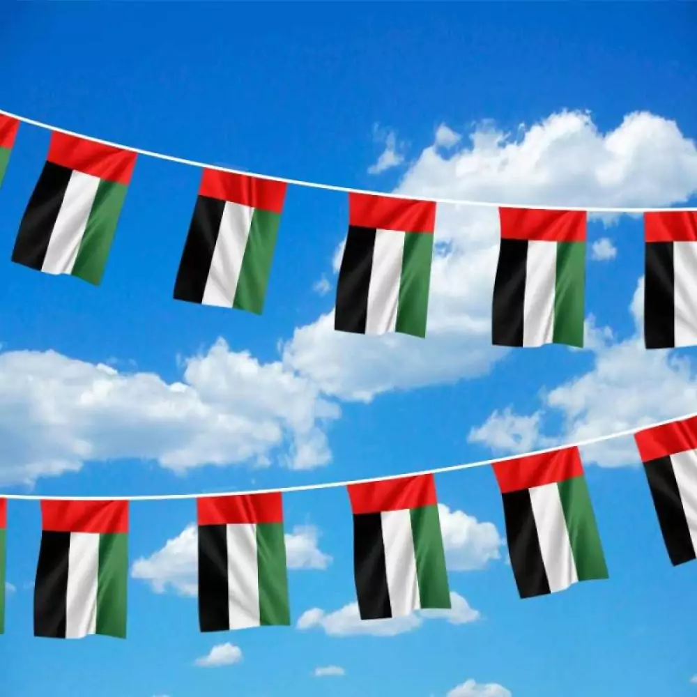 UAE-Flag-Bunting-F-32-Sample.webp