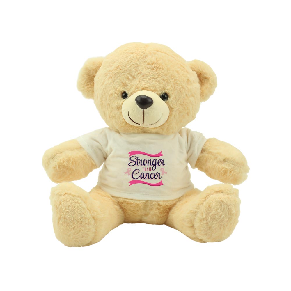 Breast-Cancer-Awareness-Teddy-TB-02-B.jpg